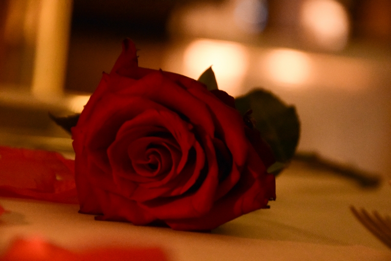 Love at le gray with an enchanting dinner at Indigo on the Roof
